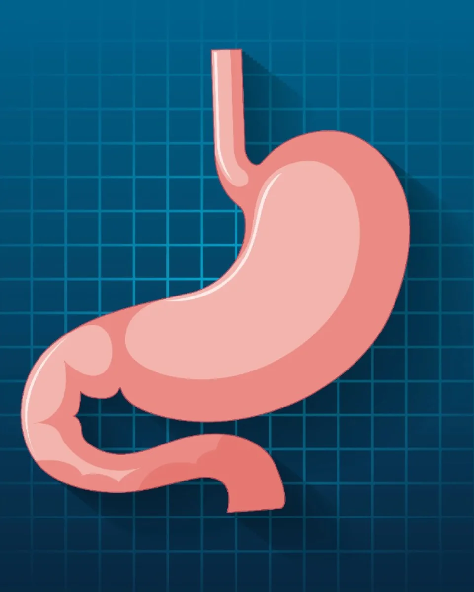 Specialised hepatology and liver care