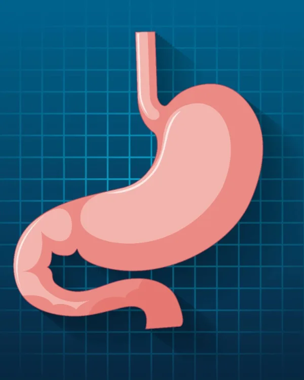Hepatology & Liver Care